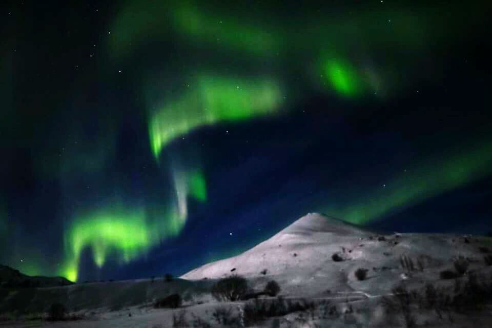 SNOW COVERED LANDSCAPE AT NIGHT