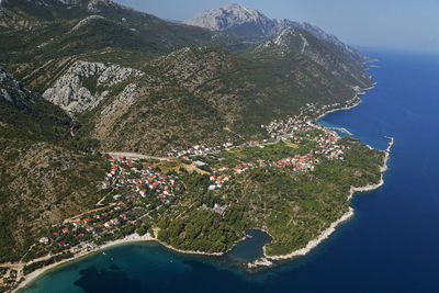 High angle view of tree by sea