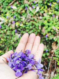 Cropped hand of woman holding flower