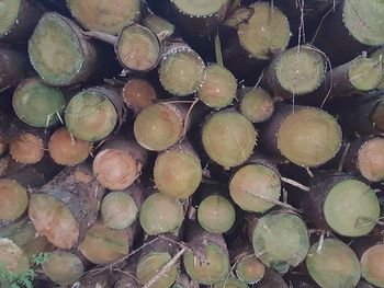 Full frame shot of firewood