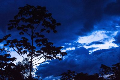 Low angle view of silhouette trees against blue sky