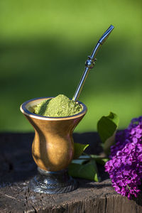 Close-up of potted plant on table