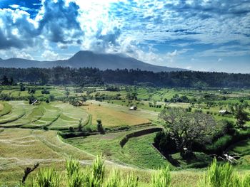 Scenic view of field against cloudy sky