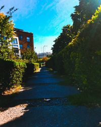 Canal amidst trees and buildings against sky