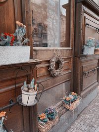 High angle view of potted plants on table by building