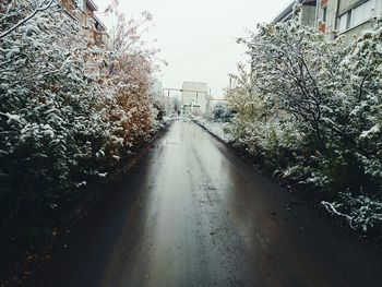 Wet road amidst trees against sky