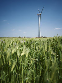 Scenic view of agricultural field against clear sky