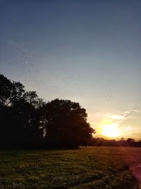 Scenic view of field against sky during sunset