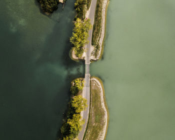 High angle view of plants by river