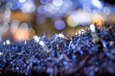 Close-up of illuminated christmas tree during winter