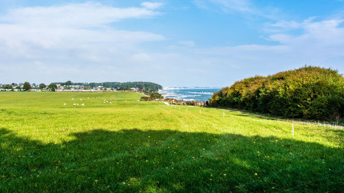 Scenic view of landscape against sky