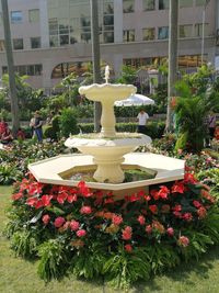 View of fountain in garden