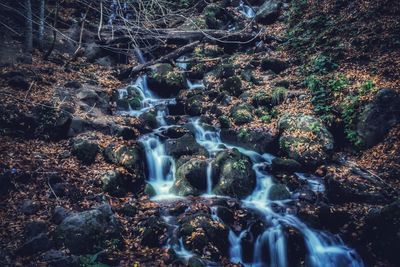 Scenic view of waterfall in forest