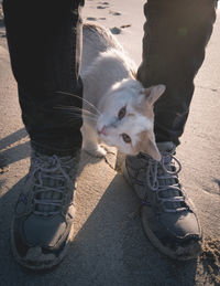 Low section of man with dog standing on floor