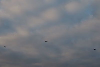 Low angle view of bird flying against cloudy sky