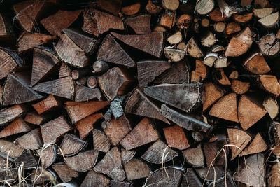 Full frame shot of logs in forest