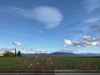 Scenic view of field against sky