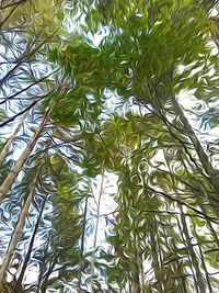 Low angle view of leaves