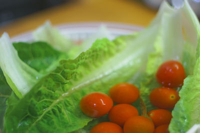 Close-up of tomatoes with vegetables in plate