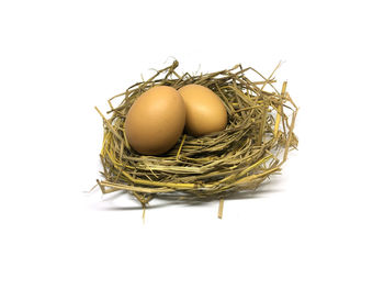 Close-up of eggs in nest against white background