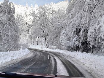 Snow covered road by trees against sky