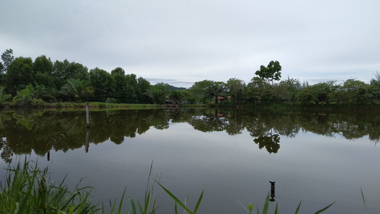 REFLECTION OF TREES IN LAKE AGAINST SKY