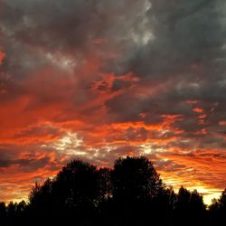 Low angle view of silhouette trees against dramatic sky