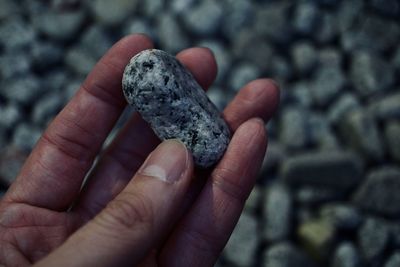 Close-up of hand holding stones