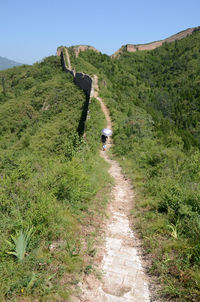 Footpath leading to mountain