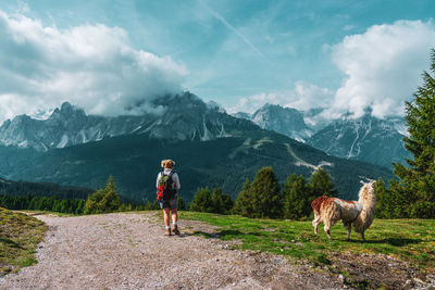 Backpacker and llamas on hiking trails in the dolomites, italy.