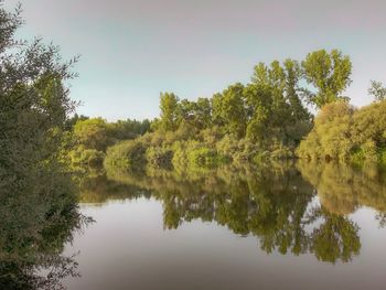 Reflection of trees in lake against sky