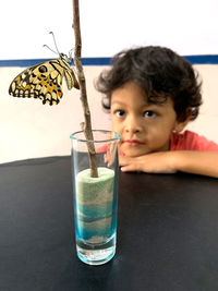 Portrait of boy with drink on table
