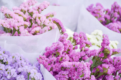 High angle view of pink flowering plant