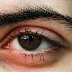 Close-up portrait of human eye