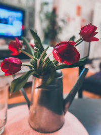 Close-up of red rose in vase