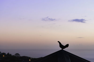 Birds perching on roof against sky