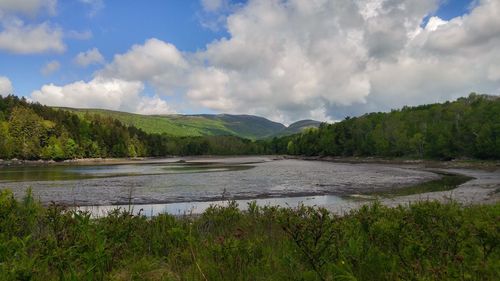 Scenic view of lake against sky