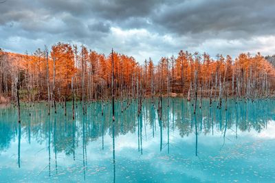 Scenic view of lake against sky