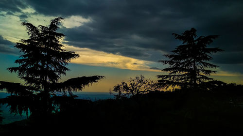 Low angle view of silhouette trees against sky at sunset