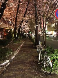 Cars parked on road