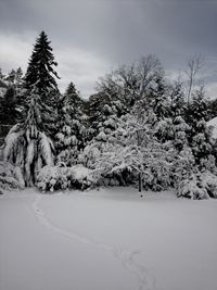 Scenic view of snow covered landscape