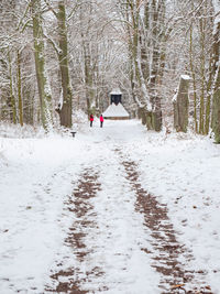 Rear view of man skiing on snow covered field