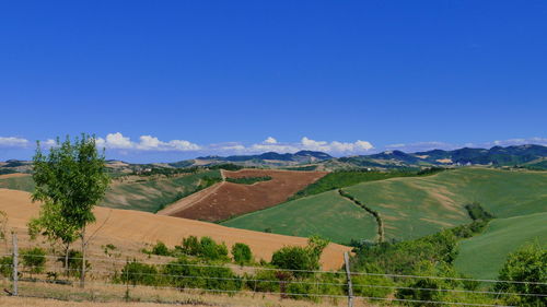 Scenic view of landscape against clear blue sky