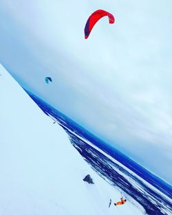 Low angle view of hot air balloons