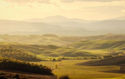 Scenic view of landscape against sky