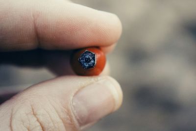 Close-up of hand holding ladybug