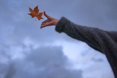 Low angle view of maple leaf against sky