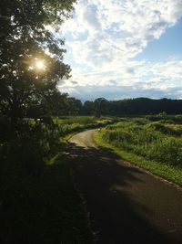 Road passing through field