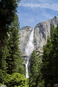 Scenic view of waterfall in forest against sky