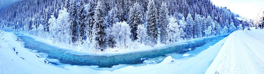 Panoramic shot of frozen trees against blue sky